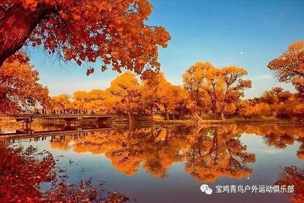 努力跳跃