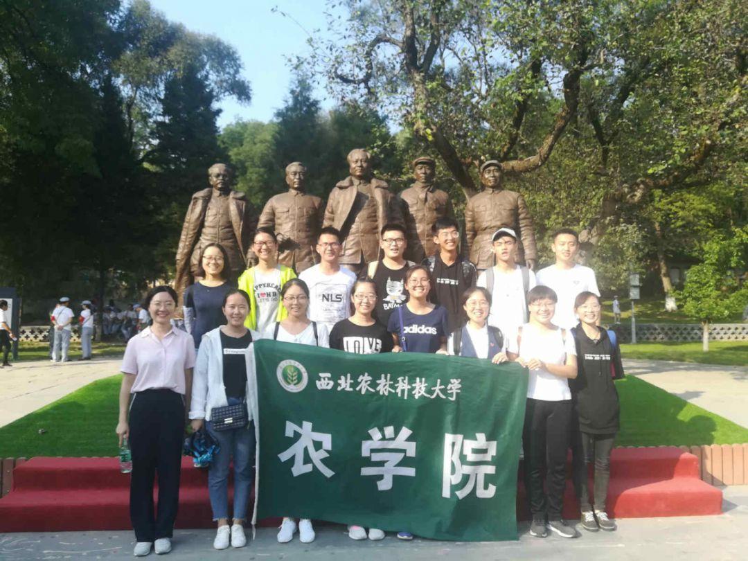逗小猴开心系列184