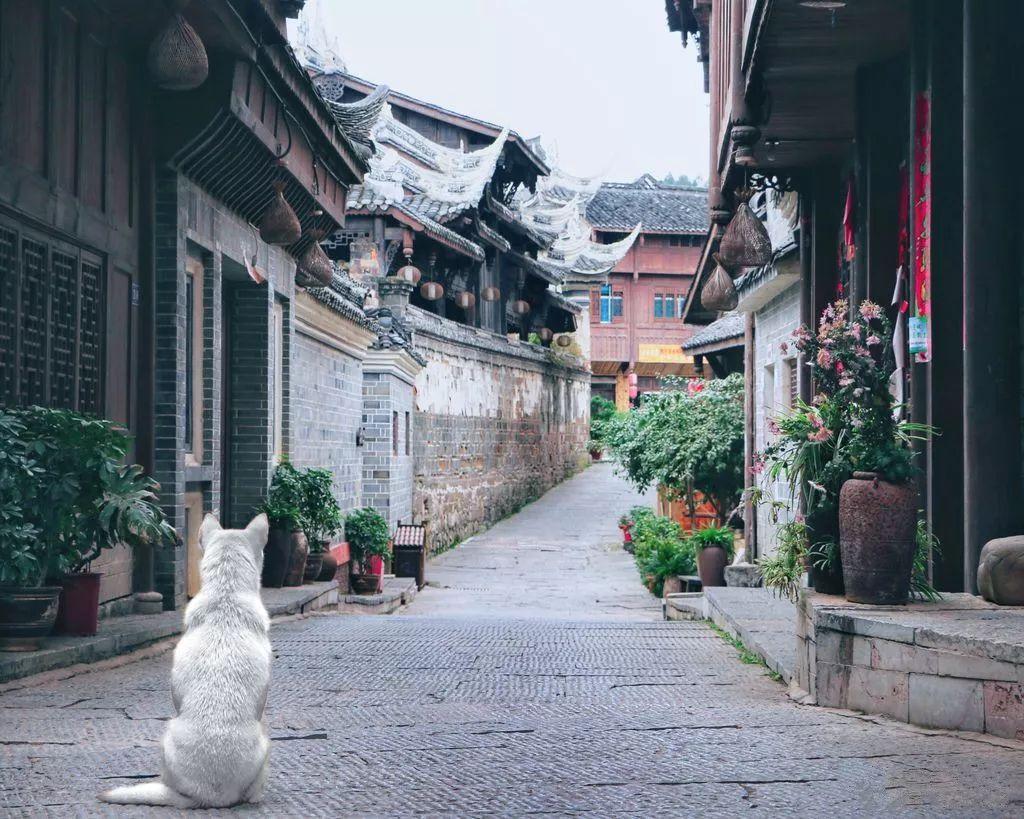子弹风暴